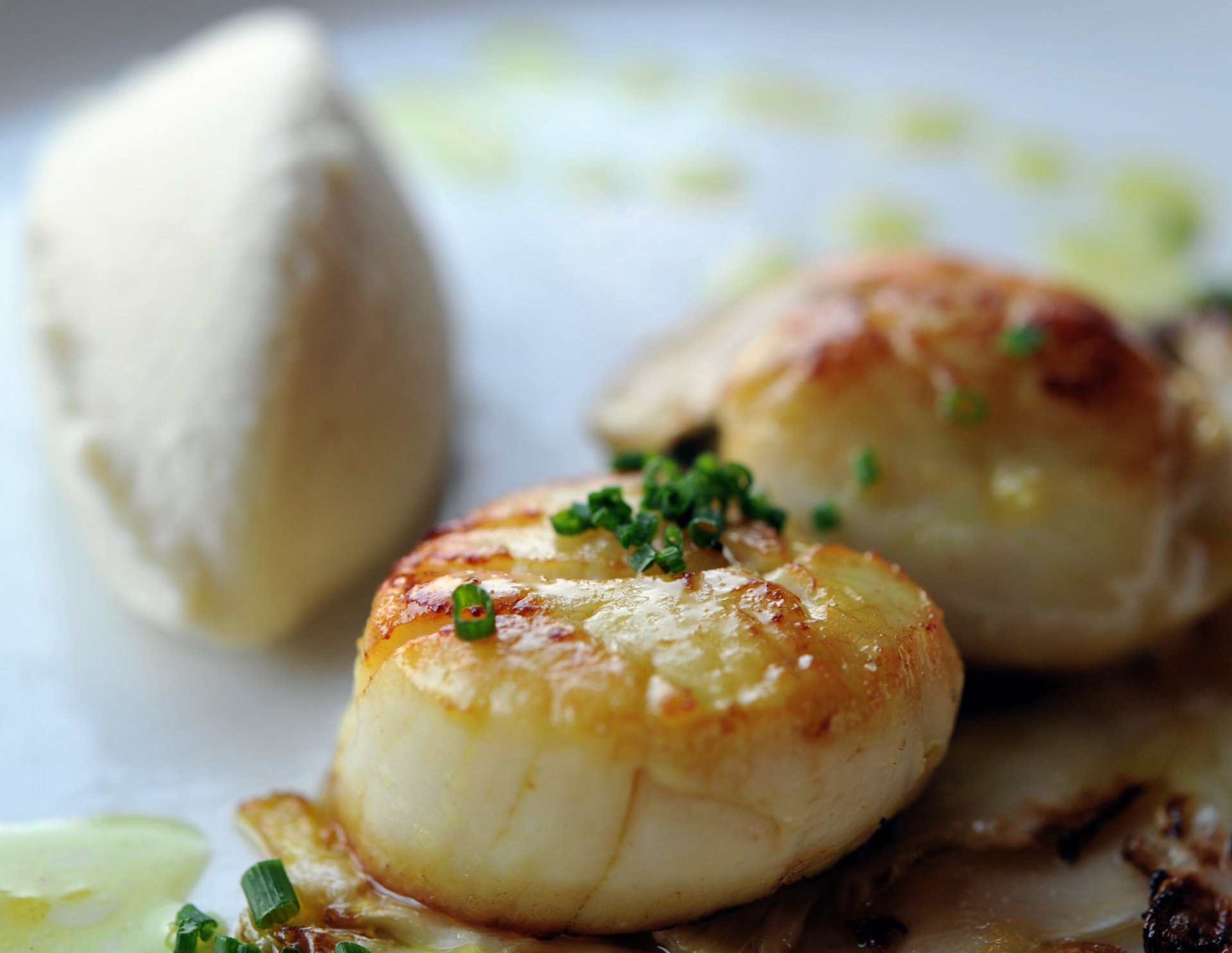 Scallop School Tuesday 20th February 2024