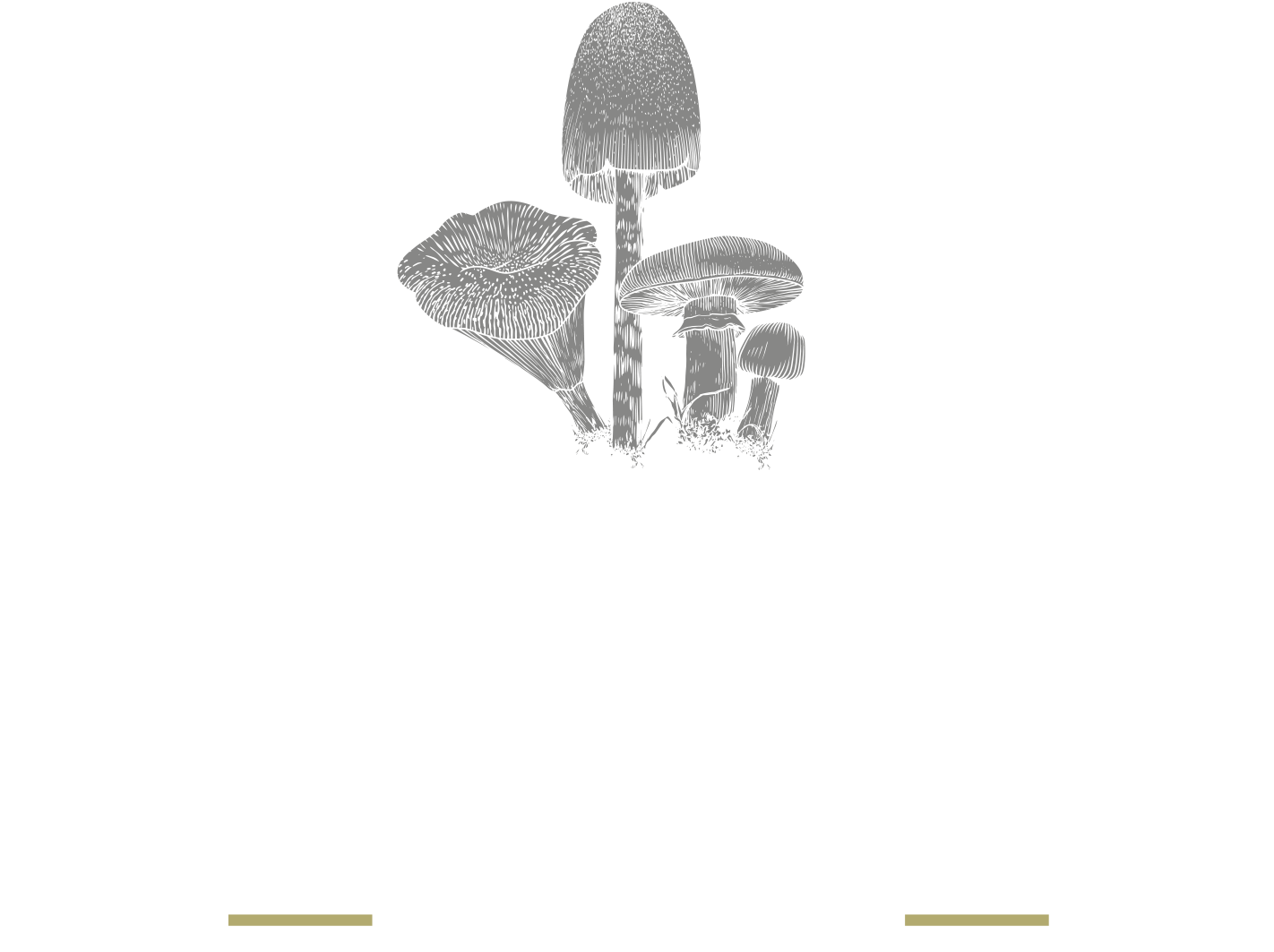 Wild Mushroom Restaurant